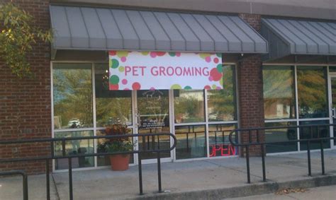 pamper  pooch  swanky paws pet spa lawrenceville ga patch