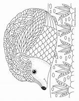 Hedgehog Coloring Adult Pages Mandala Printable Animal Dyr Kopitegninger Kids Woojr Activities Template Flower Fall Visit Choose Board sketch template