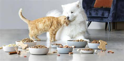 learn   read  nutritional table   pets food kanu pet