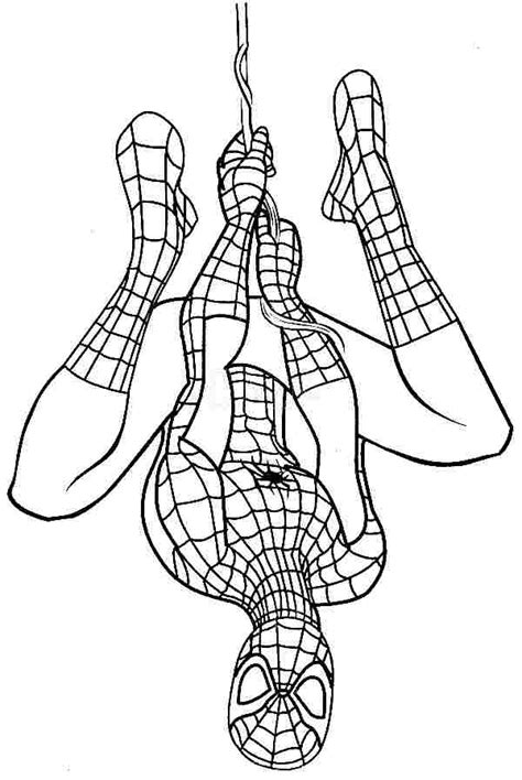 spiderman  venom coloring pages  getcoloringscom  printable