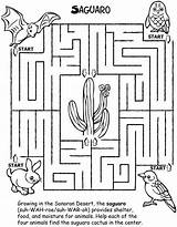 Maze Coloring Mexico Sheets Desert Kids Activity Activities Dover Publications Welcome Color Doverpublications Learn Let Childrens sketch template