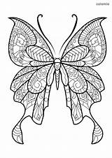 Schmetterling Malvorlage Ausmalbilder Mandala Waldtiere Happycolorz Bunt Ausmalbild Schmetterlinge sketch template