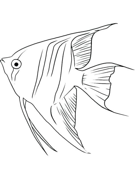 freshwater coloring page coloring pages    porn website