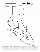 Alphabet Coloriage Tulipe Coloriages Lowercase sketch template