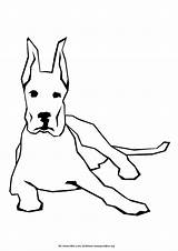 Orelha Pobarvanke Cachorro Psi Desenhar Cachorros Pes Dane Tudodesenhos Poglejte Dinozavri še Kuza Velik Pravljice sketch template