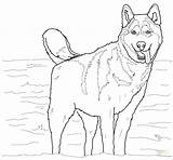 Coloring German Shepherd Pages Puppy Color Printable Getcolorings sketch template