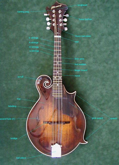 mowry stringed instruments images  pinterest instruments tools  mandolin