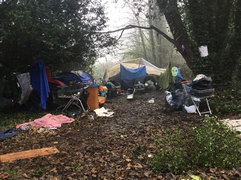 christmas holds nothing for shrubbery homeless camp