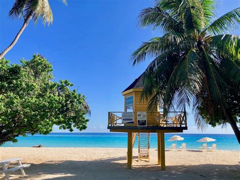 12 best beaches in barbados next stop barbados