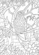 Oiseau Oiseaux Colorear Branche Aves Feuilles Constitué Branches Décor Joli sketch template