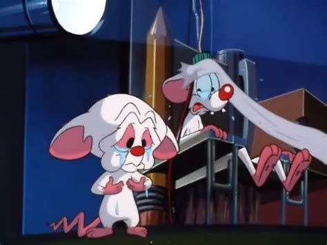 pinky   brain brains song tv episode