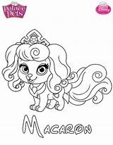 Mascotas Colorear Dibujalandia Princesa sketch template