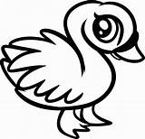 Coloring Animal Pages Baby Swan Kids sketch template