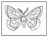 Coloring Caterpillar Butterfly Pages Hungry Carle Eric Very Printable Color Drawing Simple Cocoon Kids Sheet Clipart Flower Book Sheets Drawings sketch template