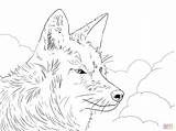 Coyote Coloring Pages Wolf Howling Moon Head Printable Easy Color Drawing Animals Colouring Savage Opress Real Getdrawings Super Supercoloring Getcolorings sketch template