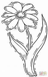 Daisy Coloring Flower Pages Printable Gerbera Color Supercoloring Da Drawing раскраски рисунок Flowers Printablee Daisies Clipart Via рисунки доску выбрать sketch template