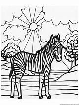 Zebra Coloring Pages Printable Kids Comments Related Post sketch template