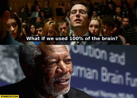 percent   brain meme original starecatcom