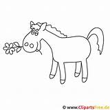 Pferde Pferd Blume Malvorlagen Malvorlage Titel sketch template