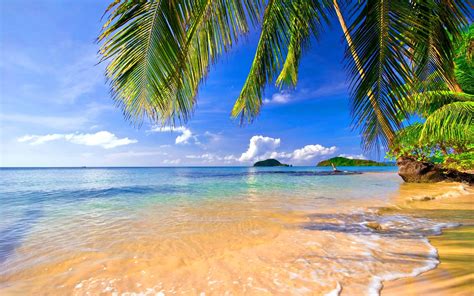 wallpaper landscape sea bay shore beach coast palm trees tropical lagoon caribbean