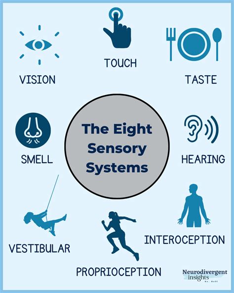 senses   body  hidden sensory systems insights
