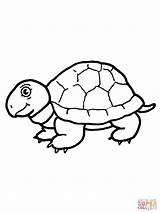 Tortoise Coloring Pages Drawing Cute Printable Color Kids Russian Supercoloring Drawings sketch template