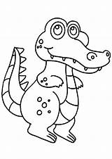 Crocodile Animals Coloring Pages Kb sketch template