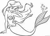 Arielle Meerjungfrau Ariel Wecoloringpage Blume Süße sketch template