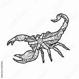 Scorpione Scorpio Colorare sketch template