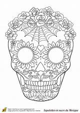 Toile Araignee Halloween Coloriag Malvorlage Tolle Herunter Skulls Squelette Sucre Drucke Lade Template Forma Catrinas Imprimer Cuantos Sellos sketch template