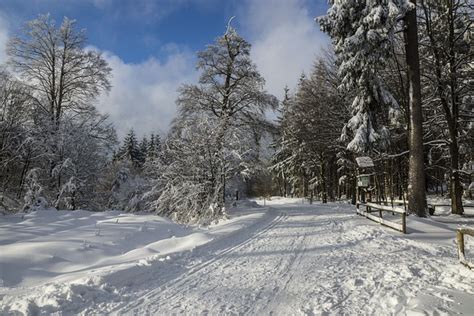 winter schnee winterlandschaft kostenloses foto auf pixabay