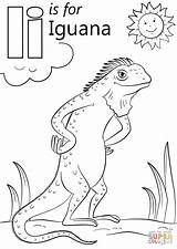 Letter Iguana Coloring Pages Printable Marine Template Alphabet Super Supercoloring Preschool sketch template