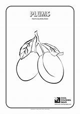 Coloring Plums Pages Plum Cool Fruits Template Print Plants Popular Oranges sketch template