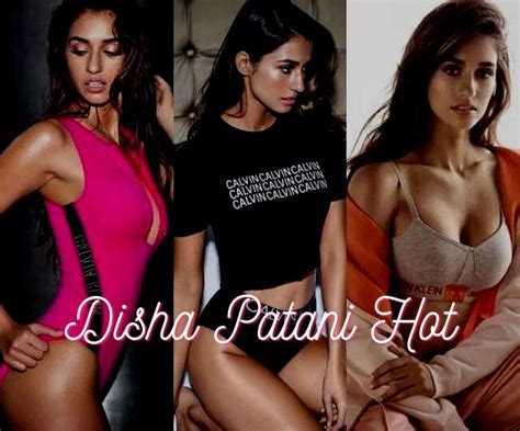 40 Disha Patani Hot Photoshoot Sexy Bikini Pics Newspaperadda