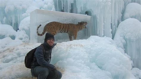 image result  frozen animals  ice animals lion sculpture albino