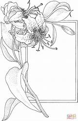 Supercoloring Lily Flores Aquarell Malvorlagen Pergamano Colorare Erwachsene Ausmalbilder Disegni Rose Outline Colouring Cornice Stamps Digi Adulte sketch template