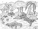 Jaguar Coloring Pages Robin Great Caiman Attacking Mammals sketch template
