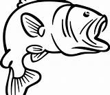 Bass Coloring Clipart Webstockreview Largemouth Fish Pages sketch template