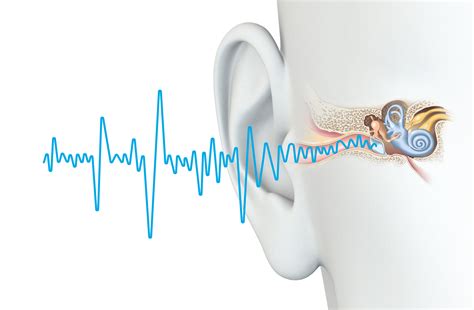 ears   brain shrinkage dementia st george news