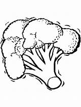 Broccoli Brokkoli Ausmalbilder Pineapple Cabbage Malvorlagen sketch template