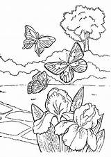 Coloring Spring Pages Printable Flying Butterflies Color Kids Cute Nature Adults Print sketch template