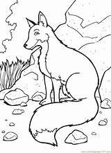 Fox Coloring Pages Printable Fennec Colouring Mammals Color Cute Kids Animals Getdrawings Foxes Getcolorings Terry sketch template