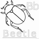Beetles Coloring4free sketch template