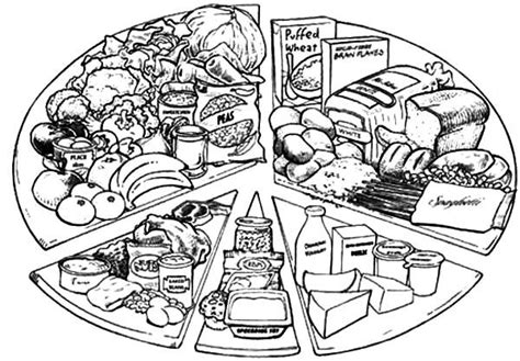 healthy eating  types  healthy food  eating  coloring