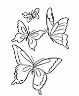 Farfalla Colorare Farfalle Disegni Atuttodonna sketch template