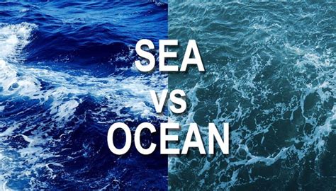 difference  ocean  sea