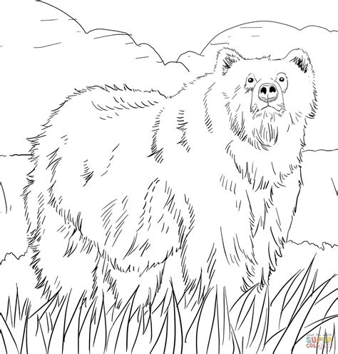 woodland creature coloring pages coloring home