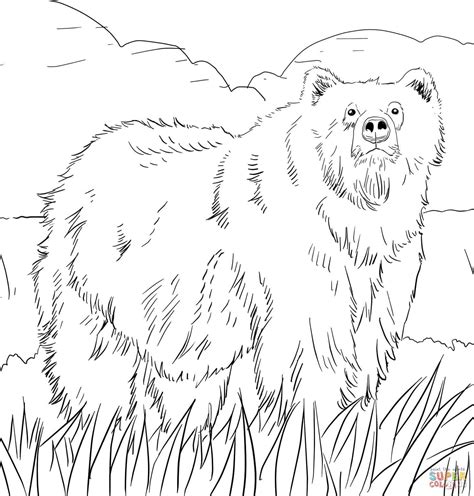 printable bear coloring pages