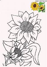 Fensterbilder Sommer Sunflowers Girasoles Dillyhearts Printables Bordado Plants Girasol Kinderzimmer Abrir sketch template