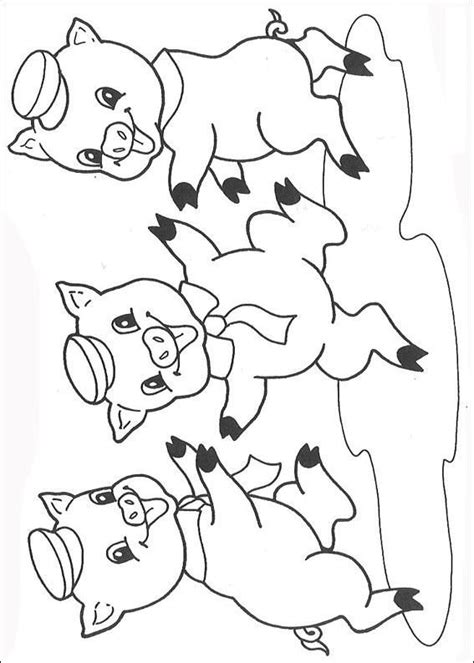 pigs coloring pages   pigs  pigs